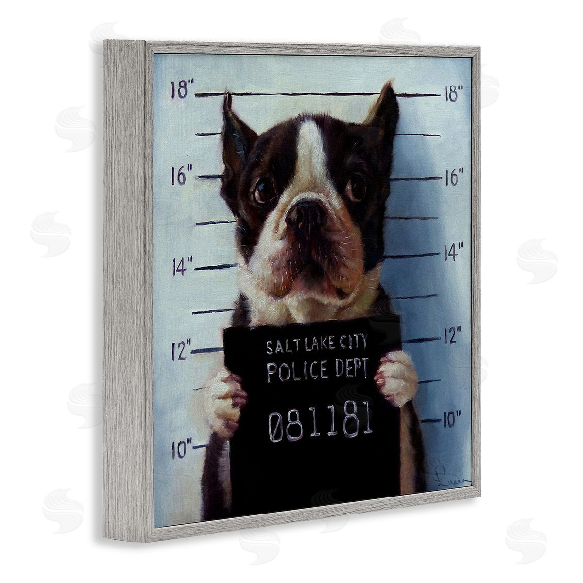 Boston Terrier Jail Convicted Mugshot Grey Frame Print Wall Art, Home Decor by Lucia Heffernan