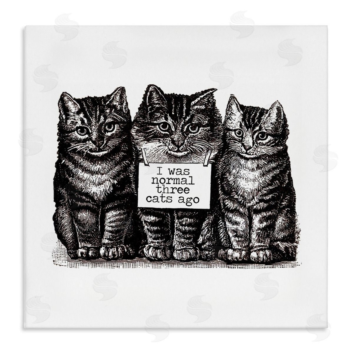 Amy Brinkman Normal Three Cats Ago Phrase Monochrome Sign  Stretched Canvas Wall Art Print