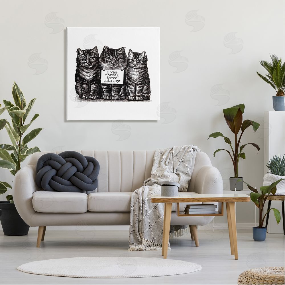 Amy Brinkman Normal Three Cats Ago Phrase Monochrome Sign  Canvas Wall Art in Room