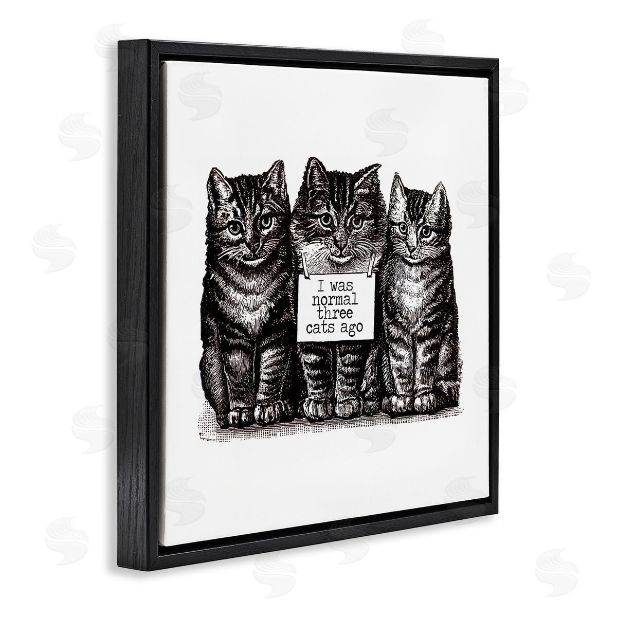 Amy Brinkman Normal Three Cats Ago Phrase Monochrome Sign  Black Floating Frame Canvas Wall Art Print