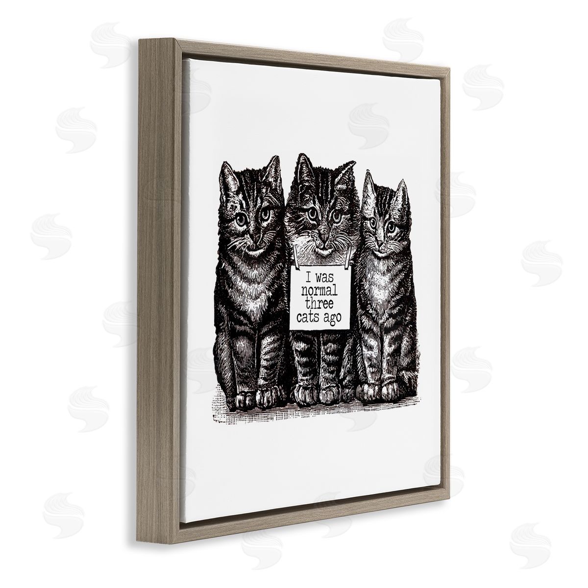 Amy Brinkman Normal Three Cats Ago Phrase Monochrome Sign  Brown Floating Frame Canvas Wall Art Print