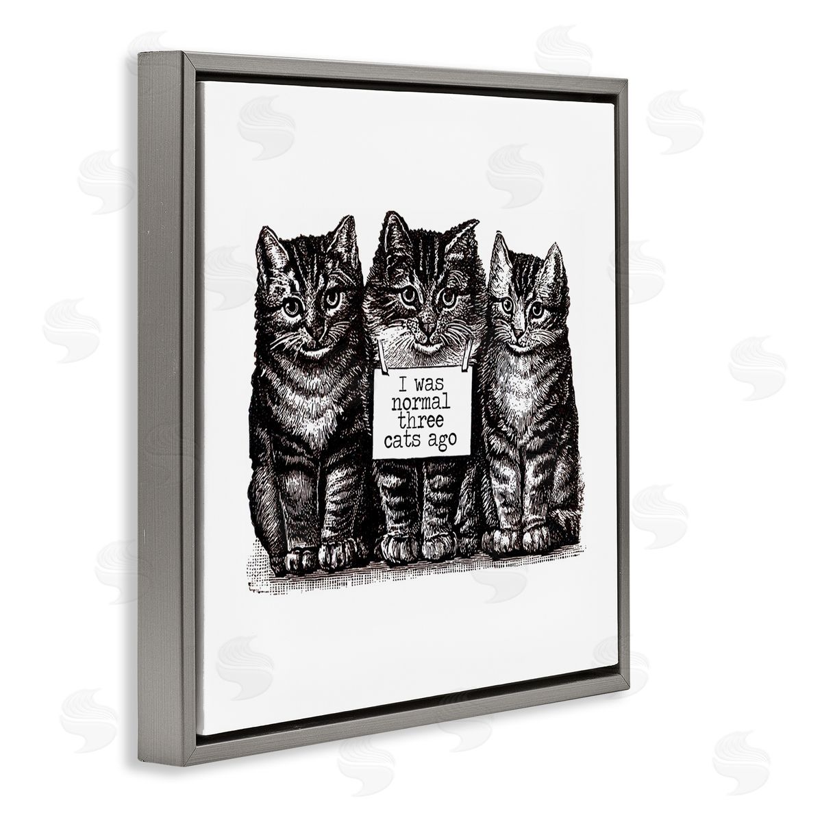 Amy Brinkman Normal Three Cats Ago Phrase Monochrome Sign  Gray Floating Frame Canvas Wall Art Print