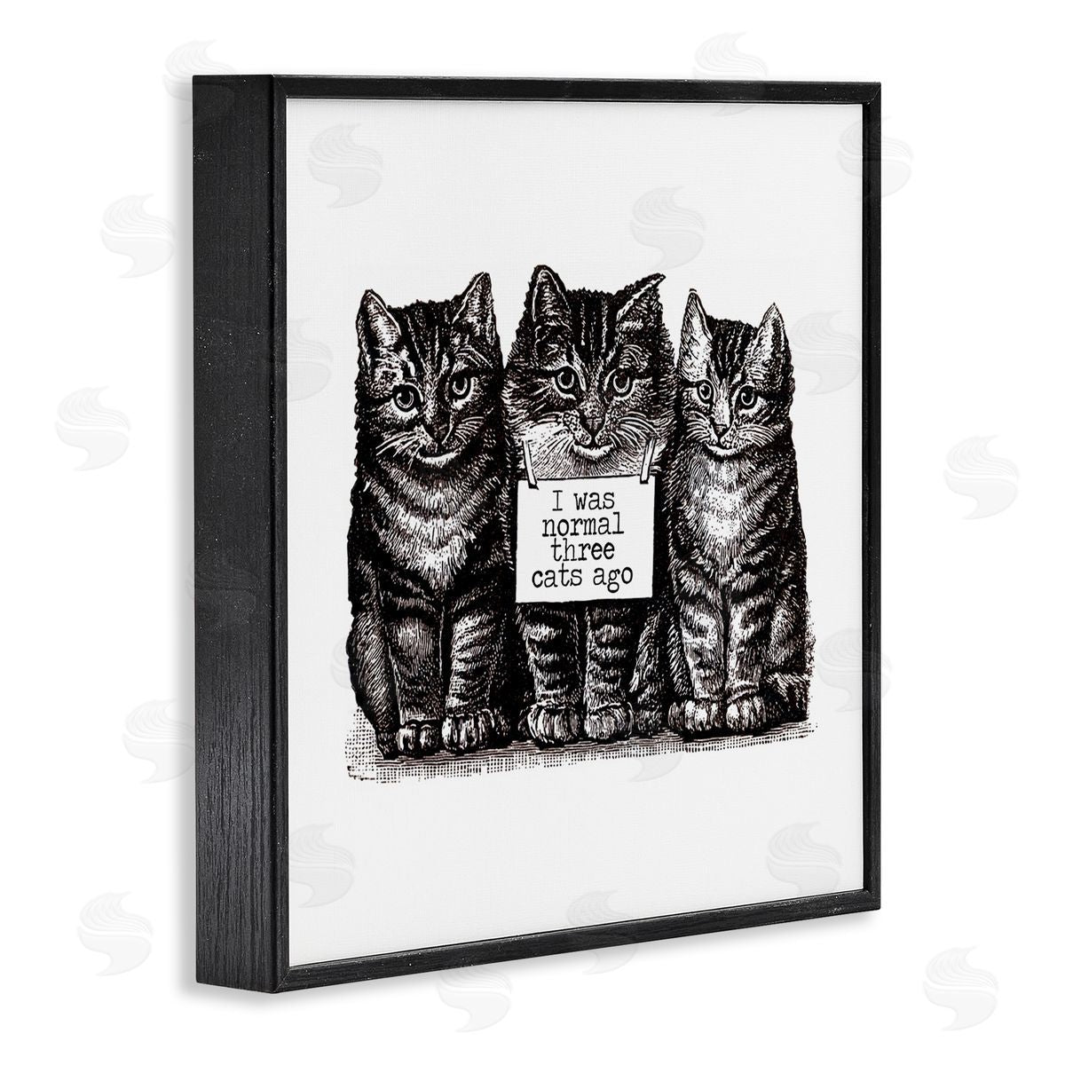 Amy Brinkman Normal Three Cats Ago Phrase Monochrome Sign  Black Framed Glicee Wall Art Print