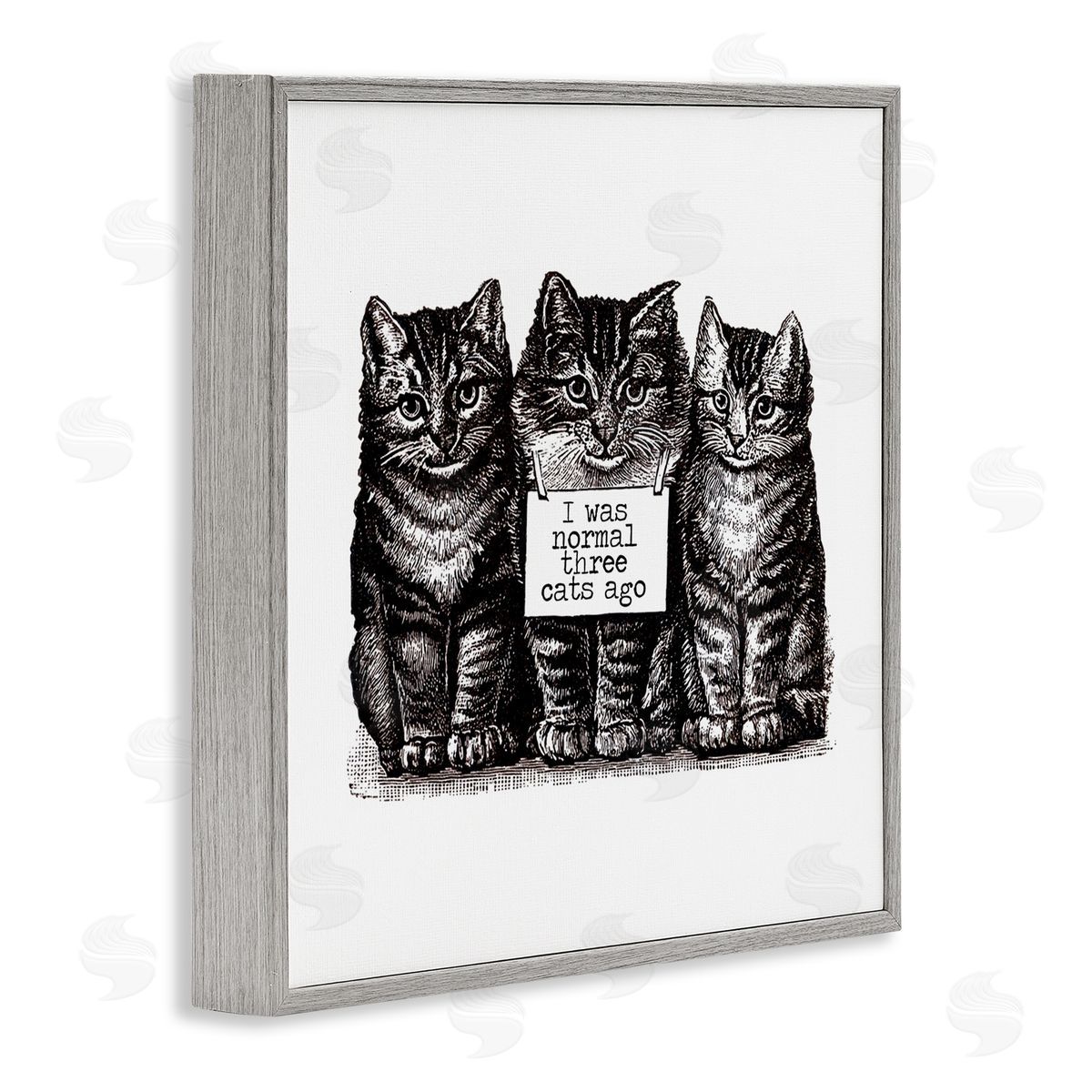 Amy Brinkman Normal Three Cats Ago Phrase Monochrome Sign  Gray Framed Glicee Wall Art Print