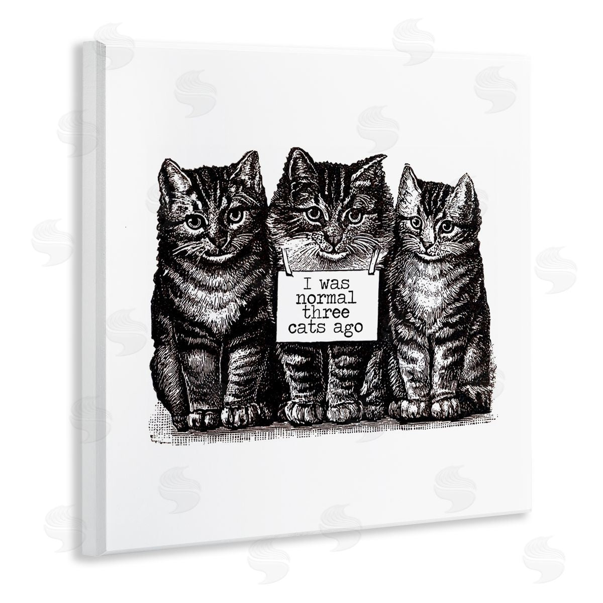Amy Brinkman Normal Three Cats Ago Phrase Monochrome Sign  Wooden Wall Plaque Art Print