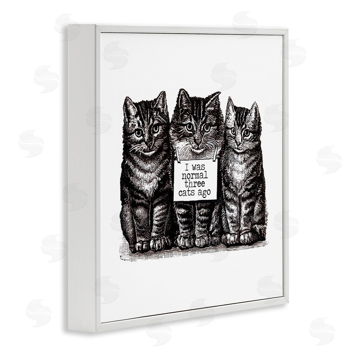 Amy Brinkman Normal Three Cats Ago Phrase Monochrome Sign  White Framed Glicee Wall Art Print