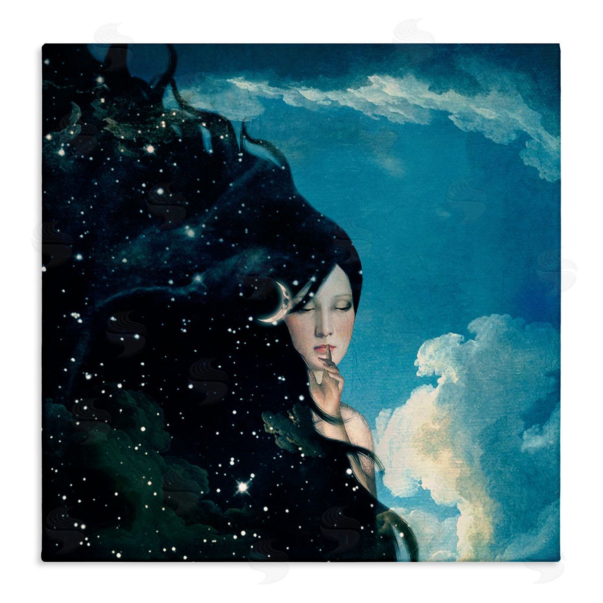 Paula Belle Flores Abstract Starry Night Sky Hair Daytime Clouds Stretched Canvas Wall Art Print