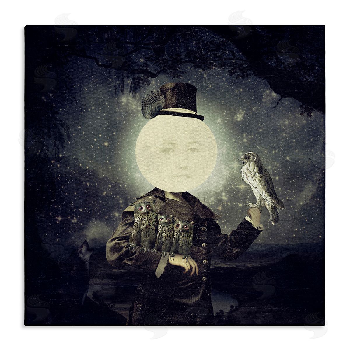 stupell industries Paula Belle Flores | Starry Night Sky Moon Person Bird Botanical Border Wall Art