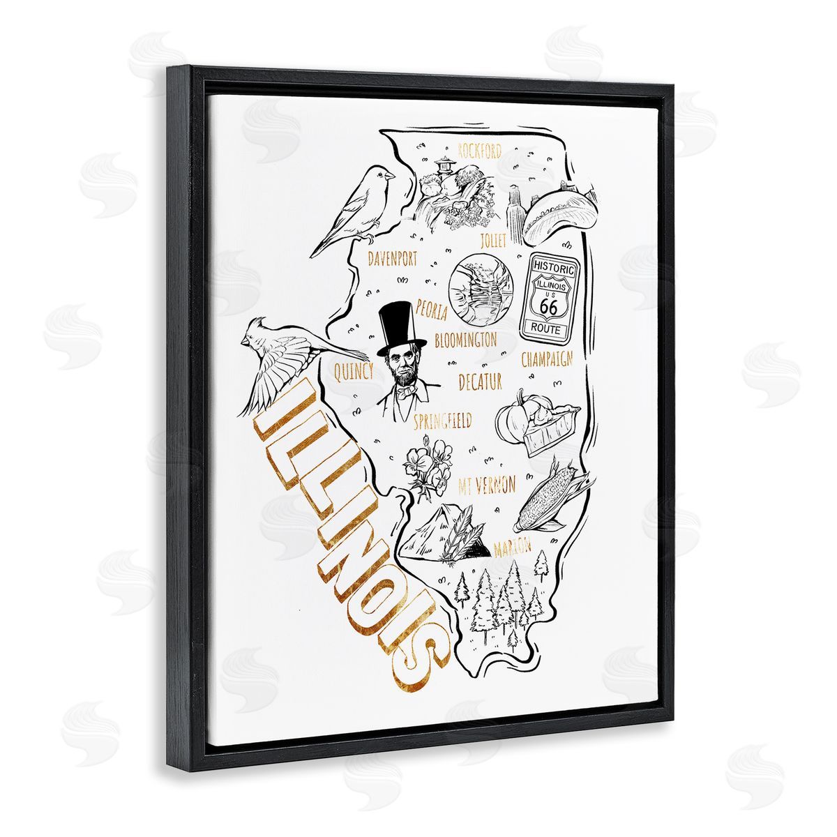 Ziwei Li Illinois State Landmark Map Glam Detail Text  Black Floating Frame Canvas Wall Art Print