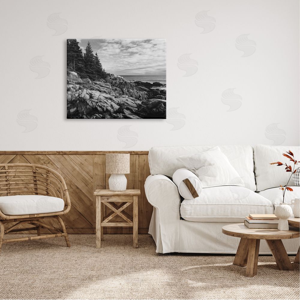 Daniel Sproul Rocky Ocean Water Cloudy Coast Monochrome Nature  Canvas Wall Art Print in Room