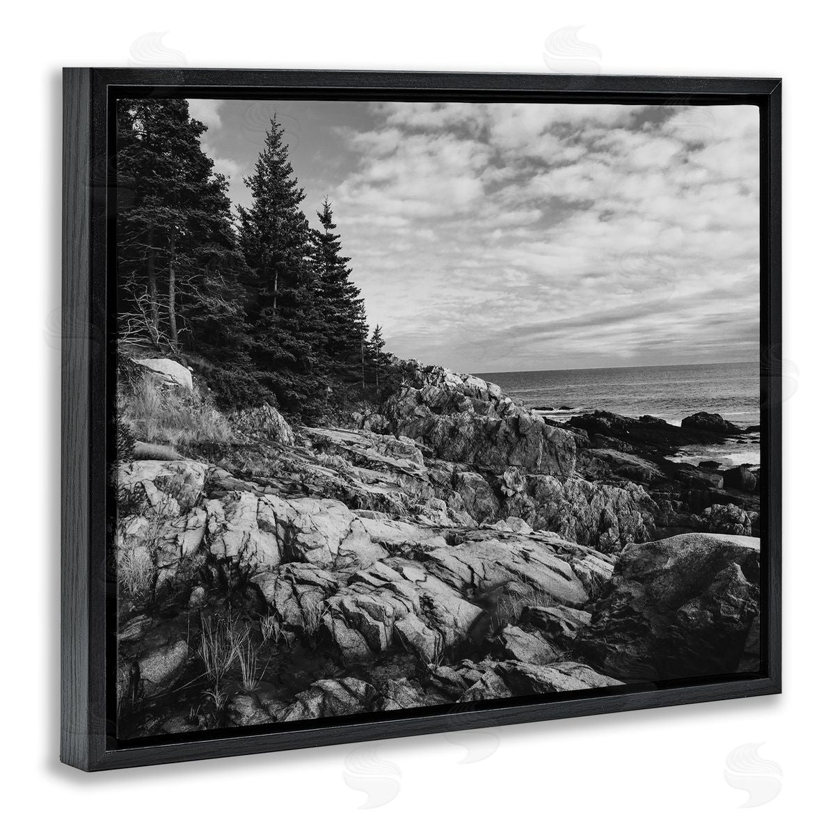 Daniel Sproul Rocky Ocean Water Cloudy Coast Monochrome Nature  Black Floating Frame Canvas Wall Art Print