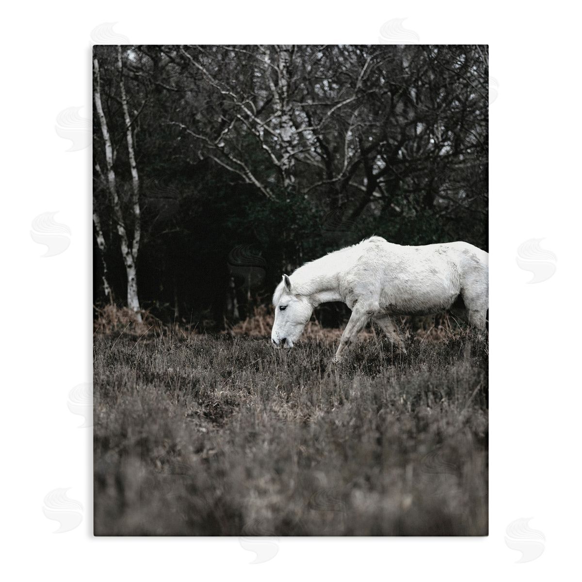 Amy Brinkman Rural Monochrome Meadow Trees White Horse Grazing  Stretched Canvas Wall Art Print