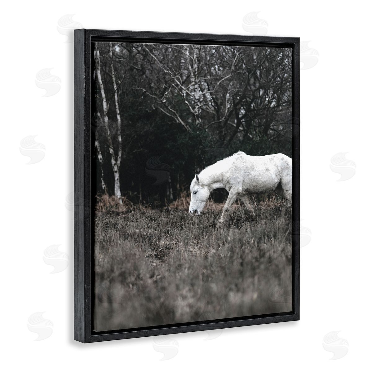 Amy Brinkman Rural Monochrome Meadow Trees White Horse Grazing  Black Floating Frame Canvas Wall Art Print