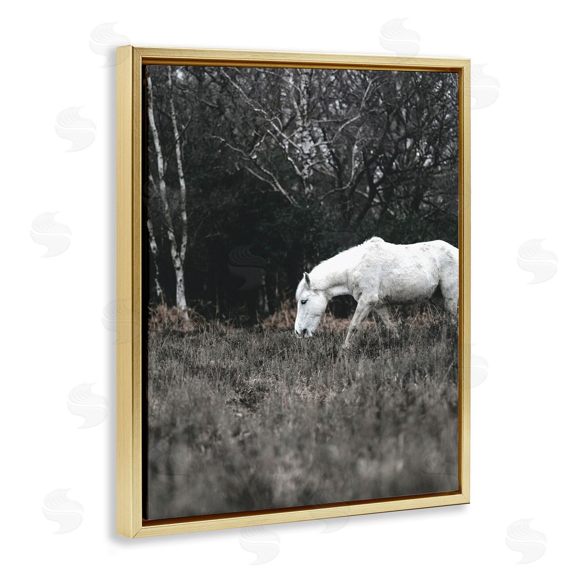 Amy Brinkman Rural Monochrome Meadow Trees White Horse Grazing  Gold Floating Frame Canvas Wall Art Print