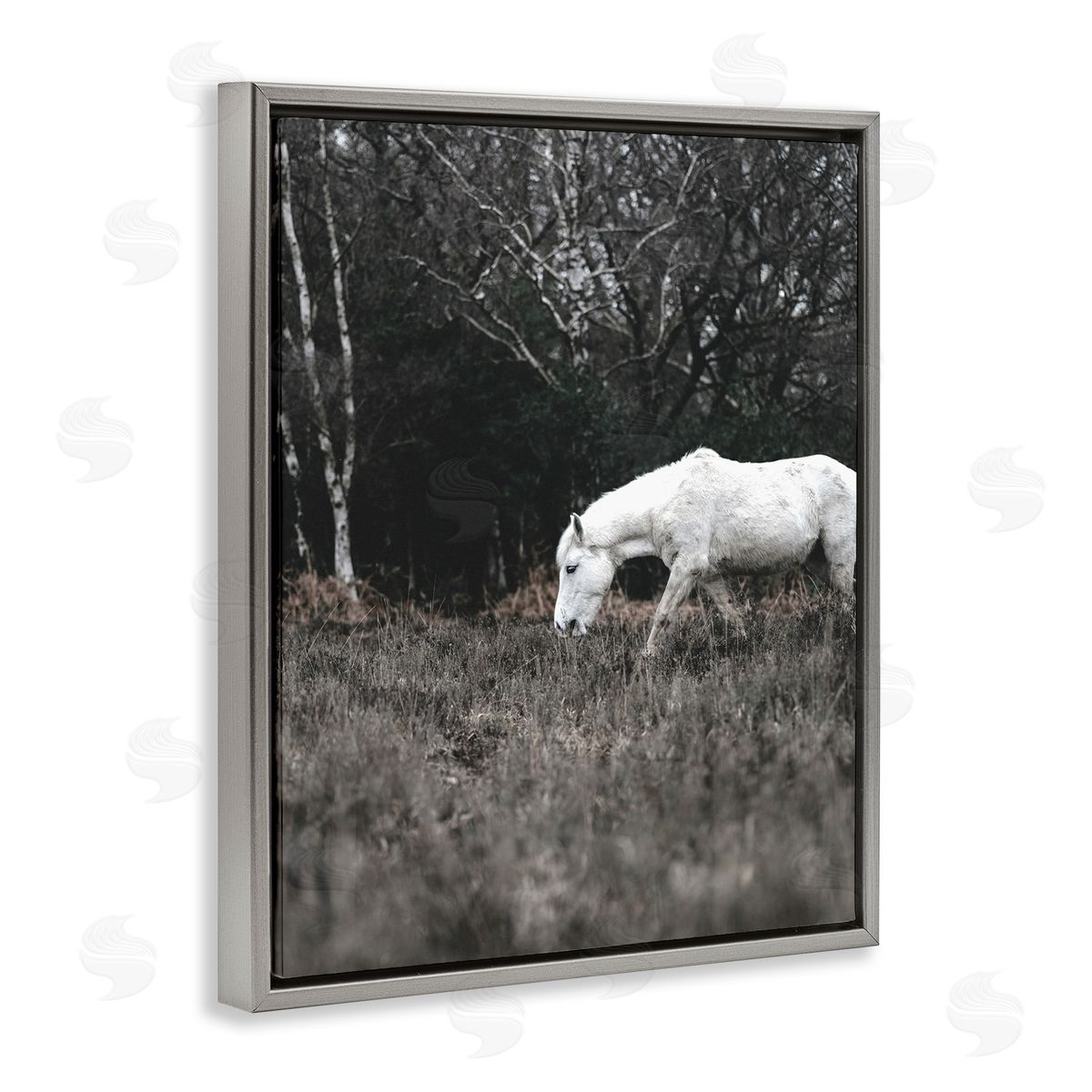Amy Brinkman Rural Monochrome Meadow Trees White Horse Grazing  Gray Floating Frame Canvas Wall Art Print