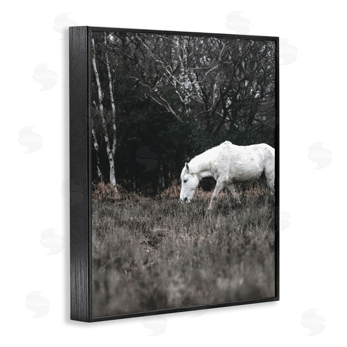Amy Brinkman Rural Monochrome Meadow Trees White Horse Grazing  Black Framed Giclee Wall Art Print