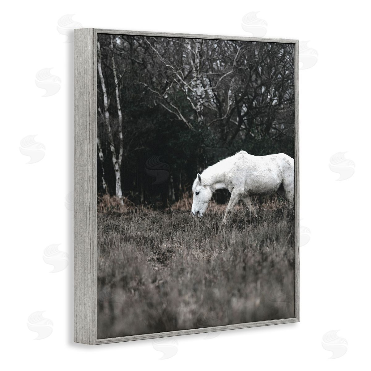 Amy Brinkman Rural Monochrome Meadow Trees White Horse Grazing  Gray Framed Giclee Wall Art Print