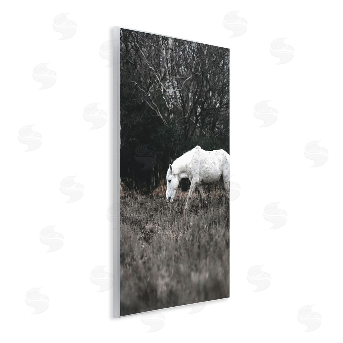 Amy Brinkman Rural Monochrome Meadow Trees White Horse Grazing  Wall Plaque Art Print