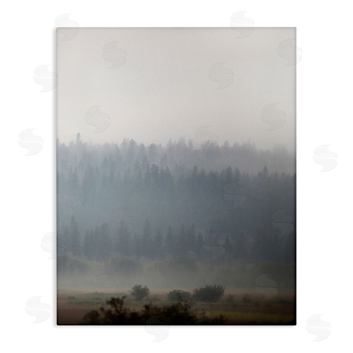 Carol Robinson Peaceful Fog Rural Landscape Woodlands Trees Clouds Stretched Canvas Wall Art Print