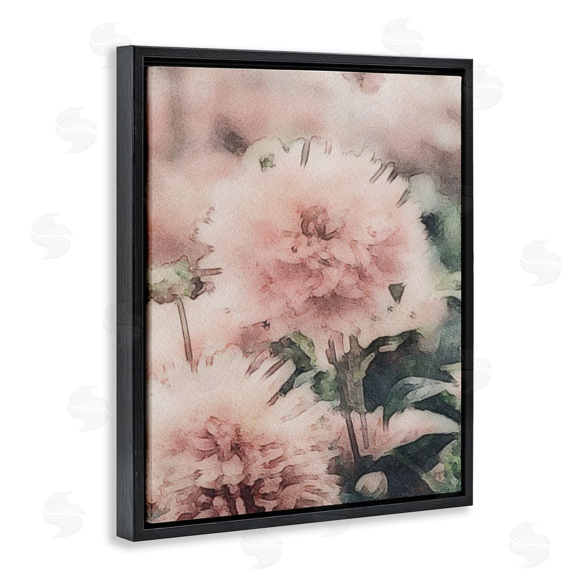 Amy Brinkman Dainty Pink Flower Blossom Sprouts Closeup Petals Black Floating Frame Canvas Wall Art Print