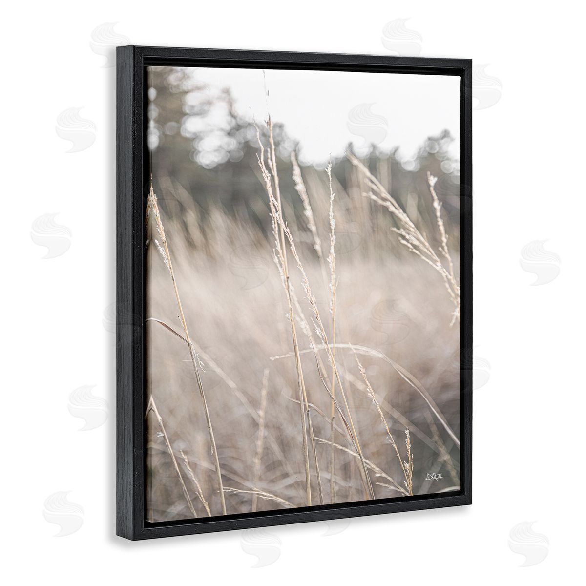 Donnie Quillen Warm Rural Field Tall Grass Countryside Scenery  Black Floating Frame Canvas Wall Art Print