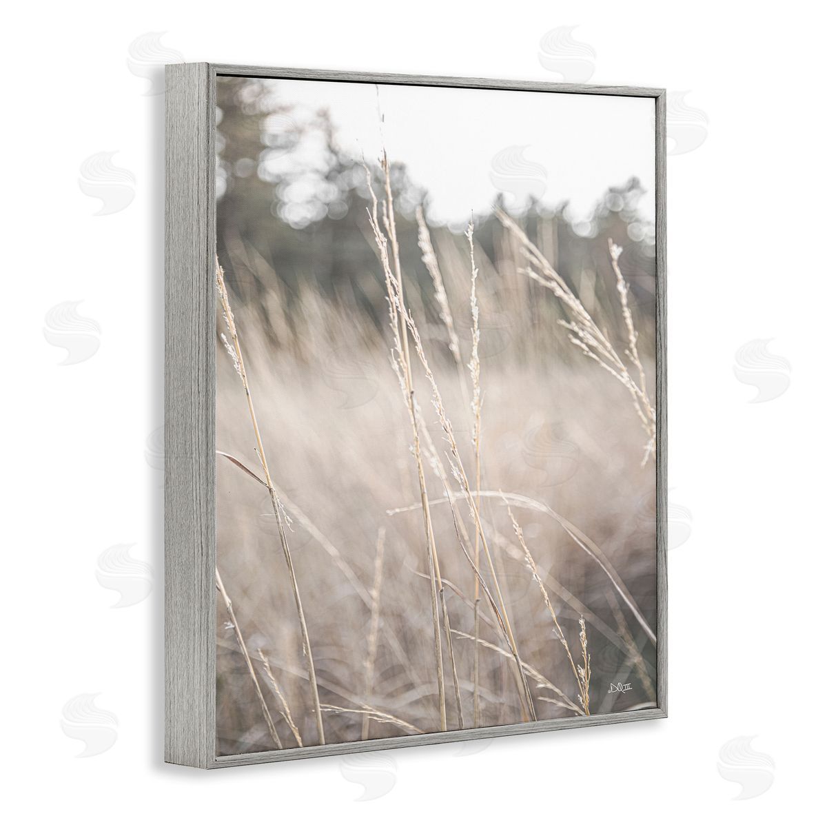 Donnie Quillen Warm Rural Field Tall Grass Countryside Scenery  Gray Framed Giclee Wall Art Print
