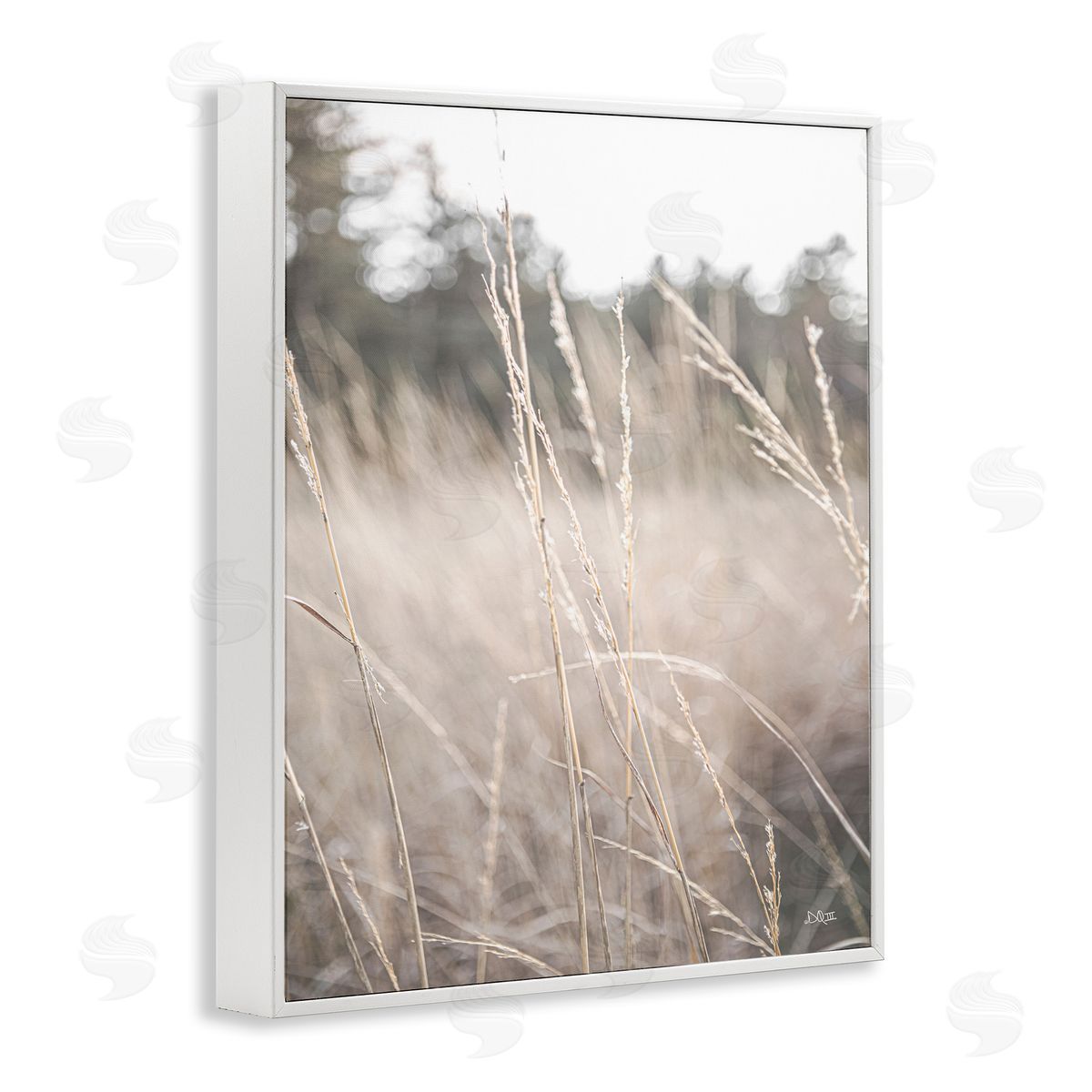 Donnie Quillen Warm Rural Field Tall Grass Countryside Scenery  White Framed Giclee Wall Art Print