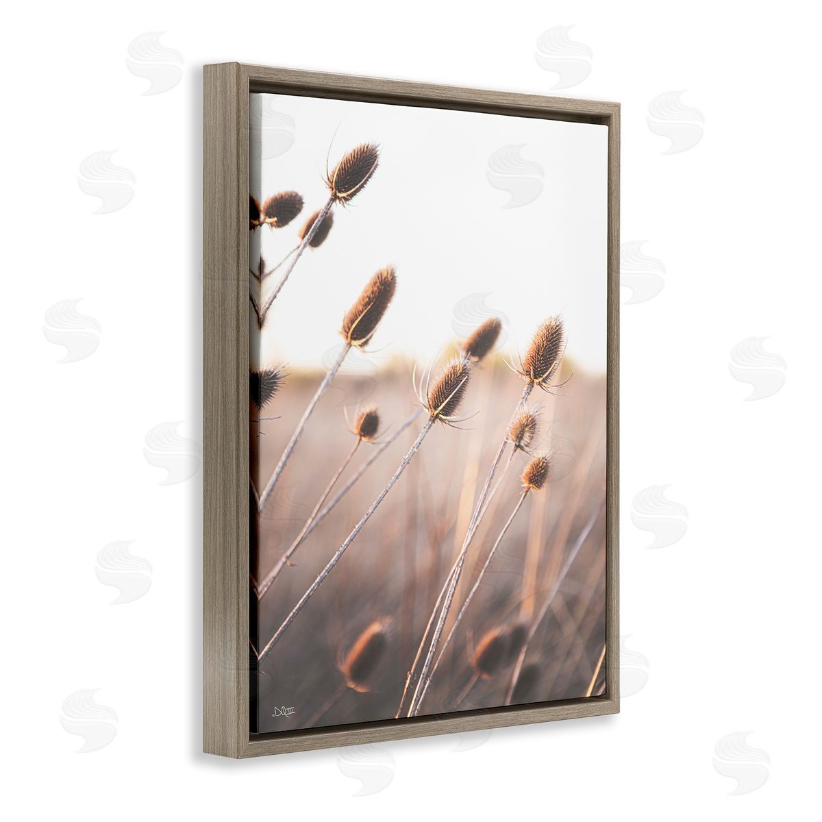 Donnie Quillen Tranquil Plant Buds Sprouts Country Meadow Grass  Brown Floating Frame Canvas Wall Art Print