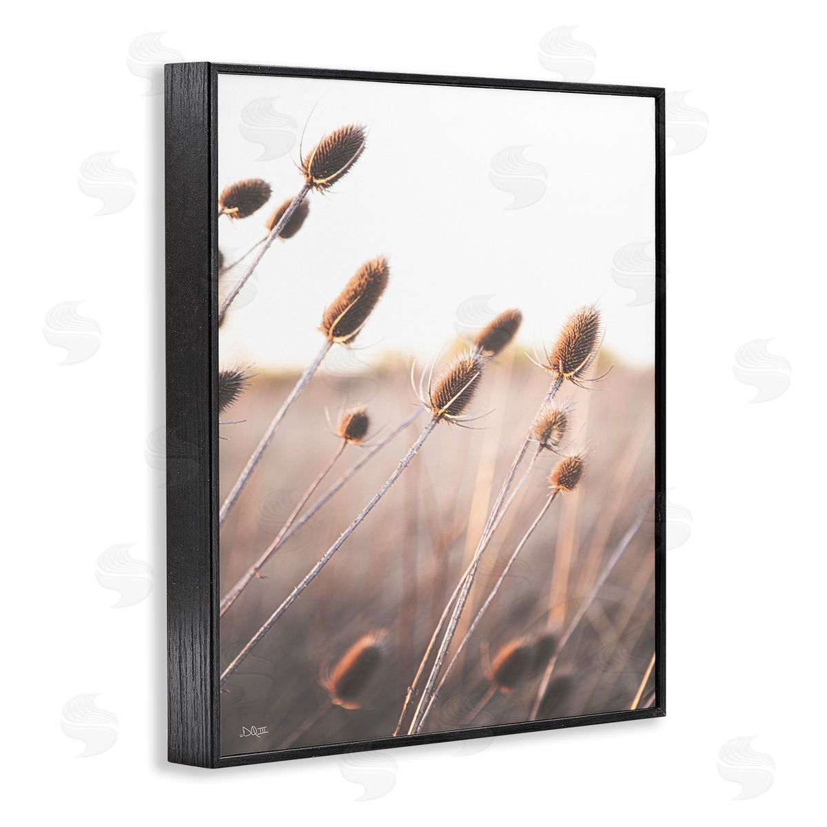 Donnie Quillen Tranquil Plant Buds Sprouts Country Meadow Grass  Black Framed Giclee Wall Art Print