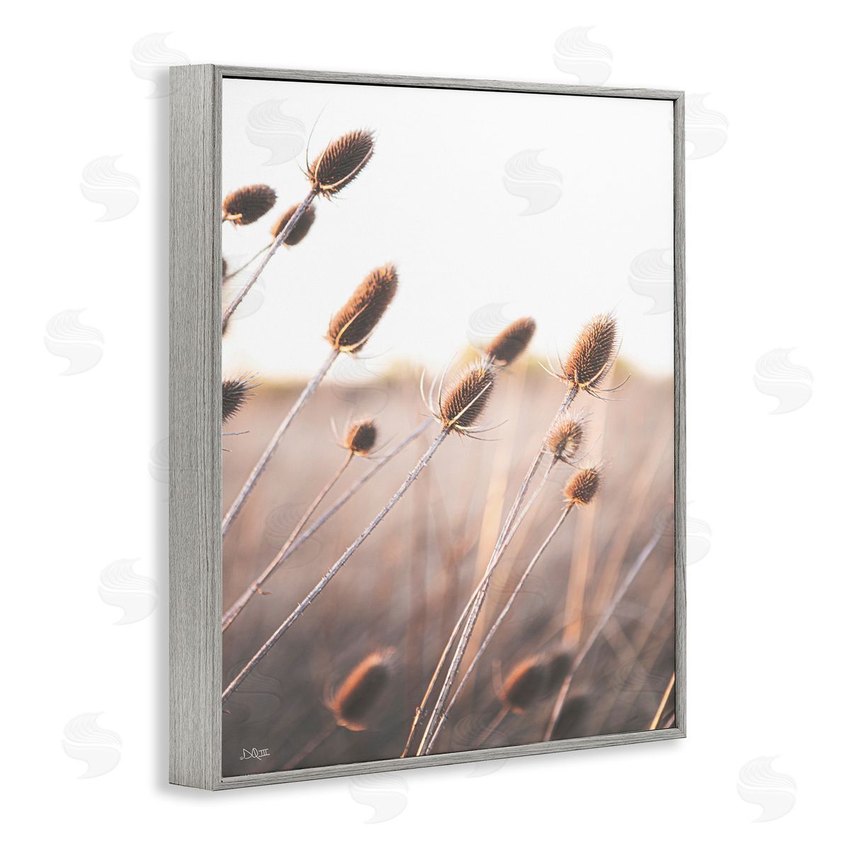 Donnie Quillen Tranquil Plant Buds Sprouts Country Meadow Grass  Gray Framed Giclee Wall Art Print