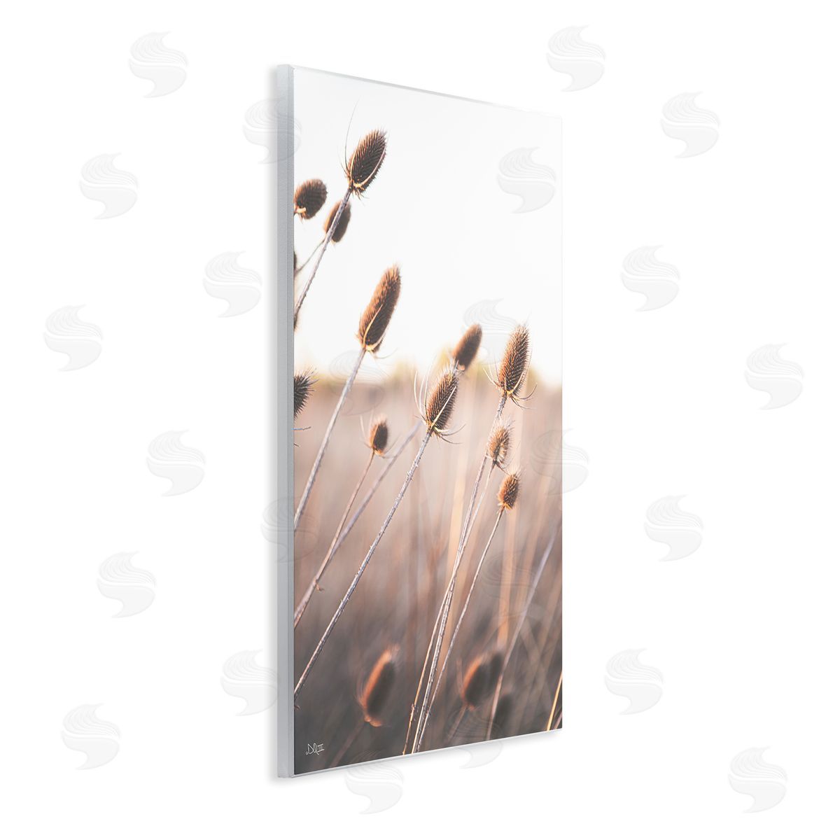 Donnie Quillen Tranquil Plant Buds Sprouts Country Meadow Grass  Wall Plaque Art Print