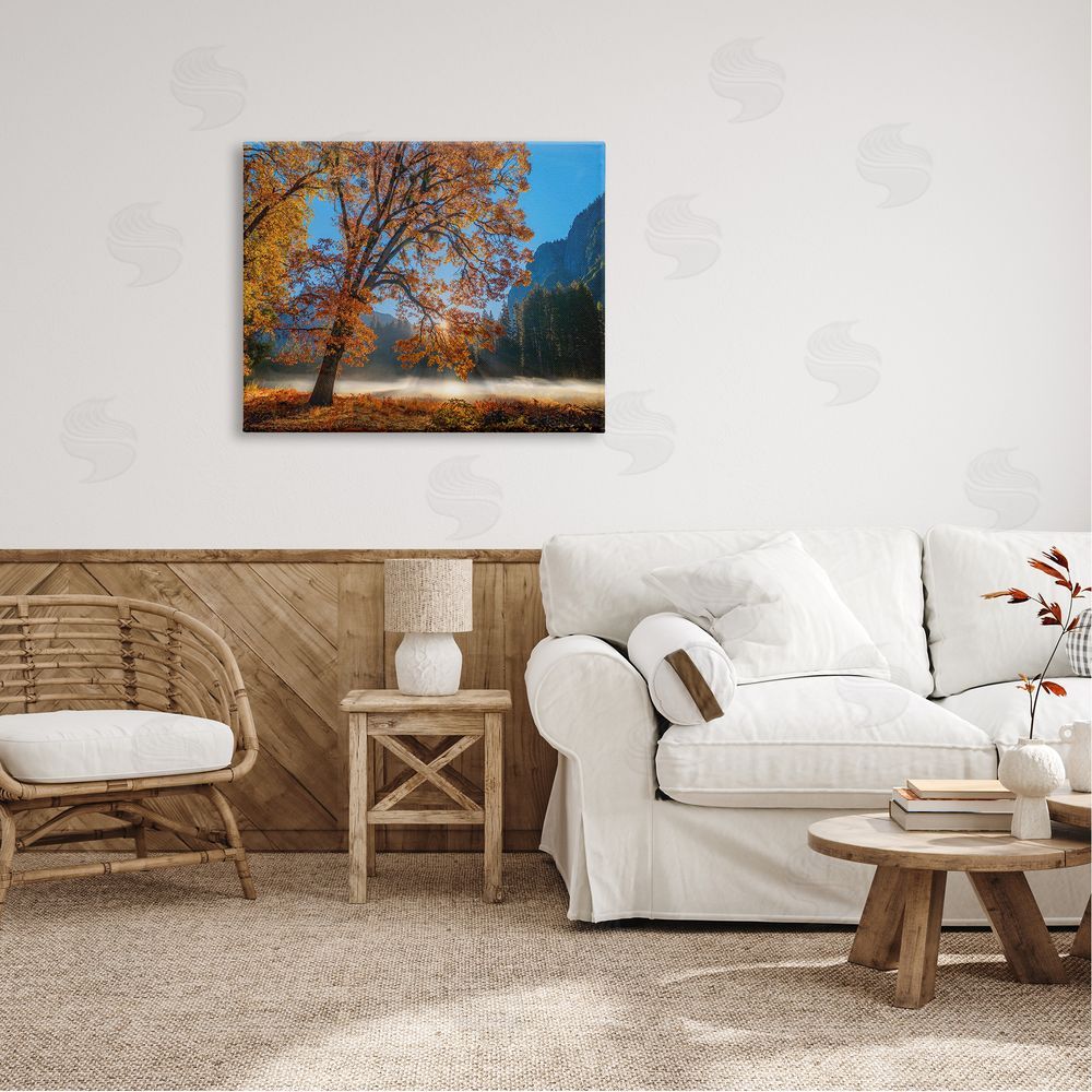 John Gavrilis Autumn Trees Foliage Beautiful Sun Rays Peeking Horizon  Canvas Wall Art Print in Room