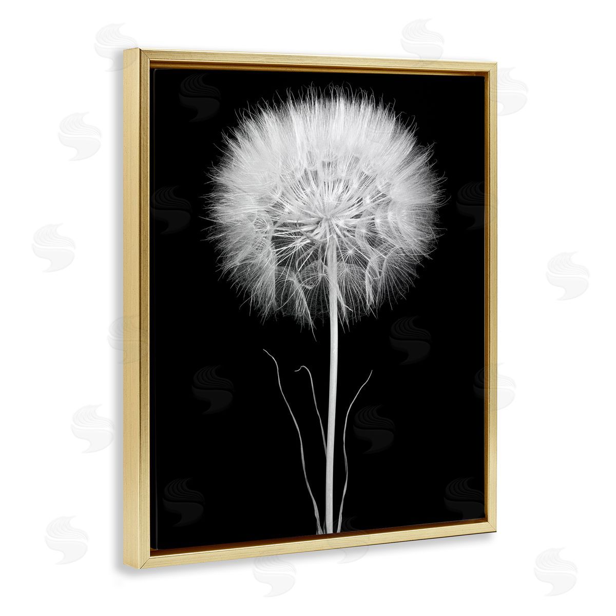 Jadei Graphics Modern Fluffy Dandelion Stem Black & White Photography  Gold Floating Frame Canvas Wall Art Print