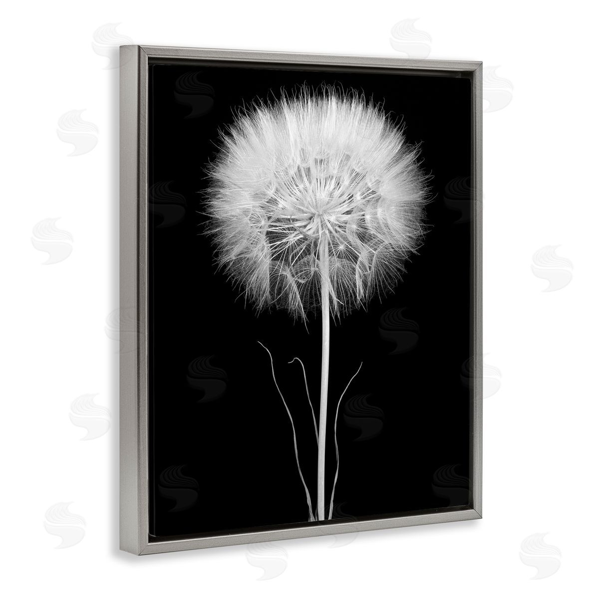 Jadei Graphics Modern Fluffy Dandelion Stem Black & White Photography  Gray Floating Frame Canvas Wall Art Print