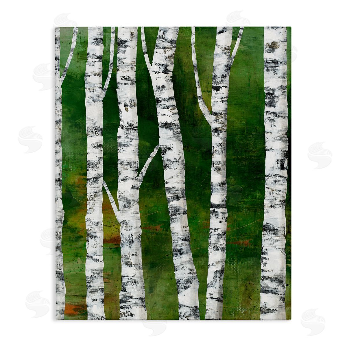 Ruth Fromstein Birch Trees Bark d Green Woodlands  Stretched Canvas Wall Art Print