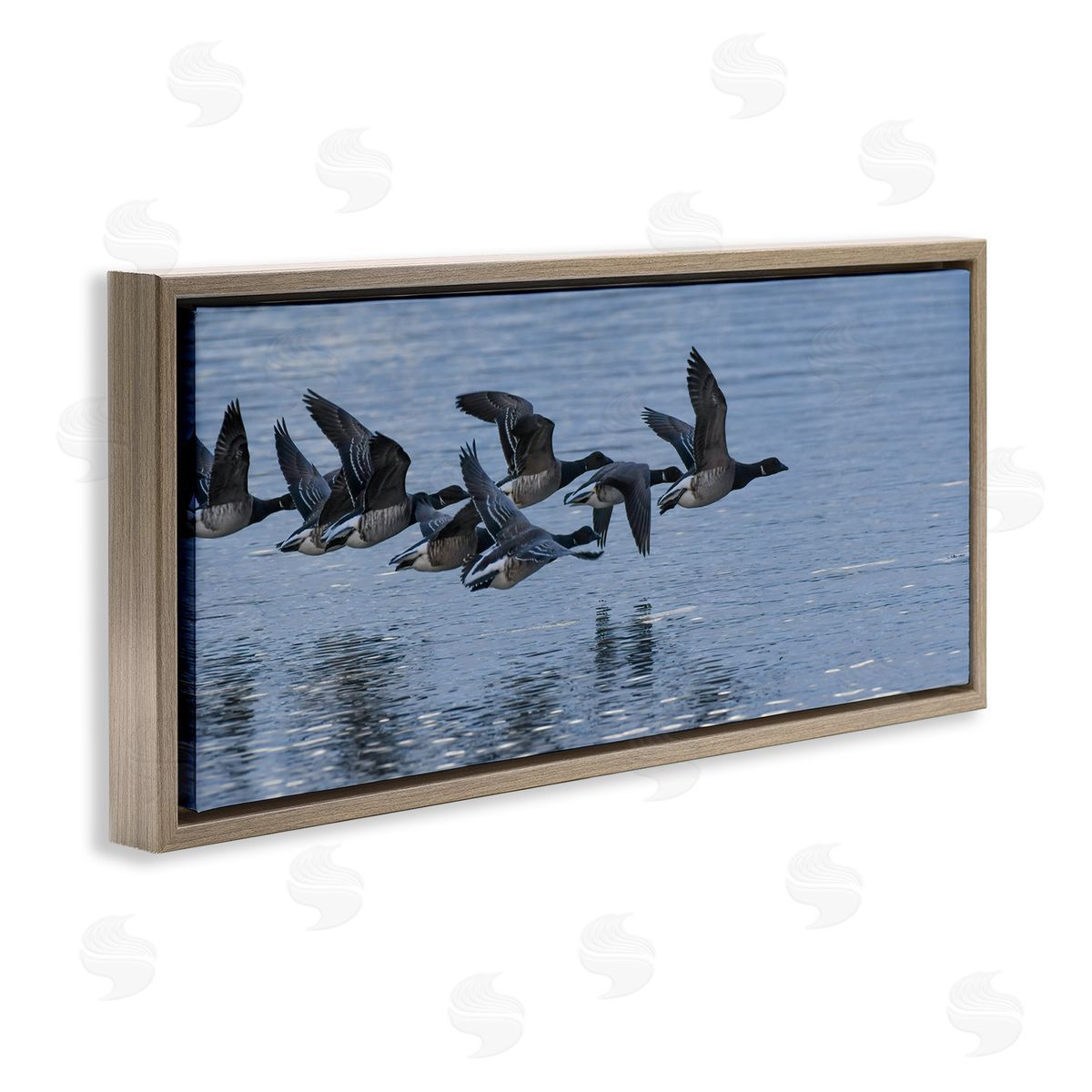 Nancy Crowell Flying Geese Wings Flapping Calm Ocean Water 