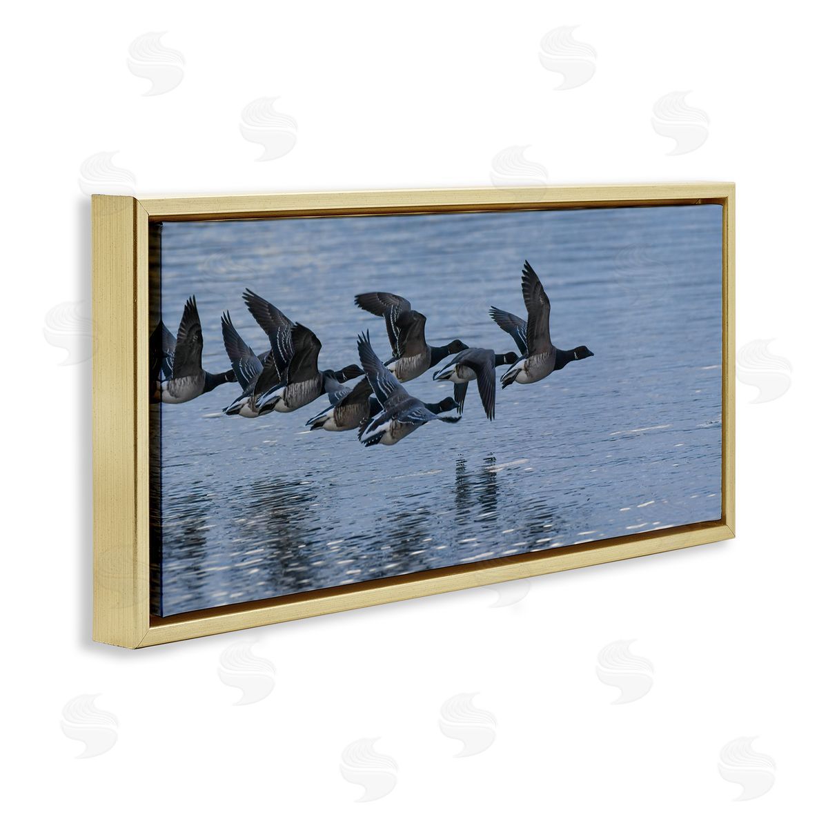 Nancy Crowell Flying Geese Wings Flapping Calm Ocean Water 