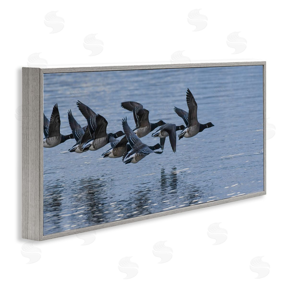 Nancy Crowell Flying Geese Wings Flapping Calm Ocean Water 