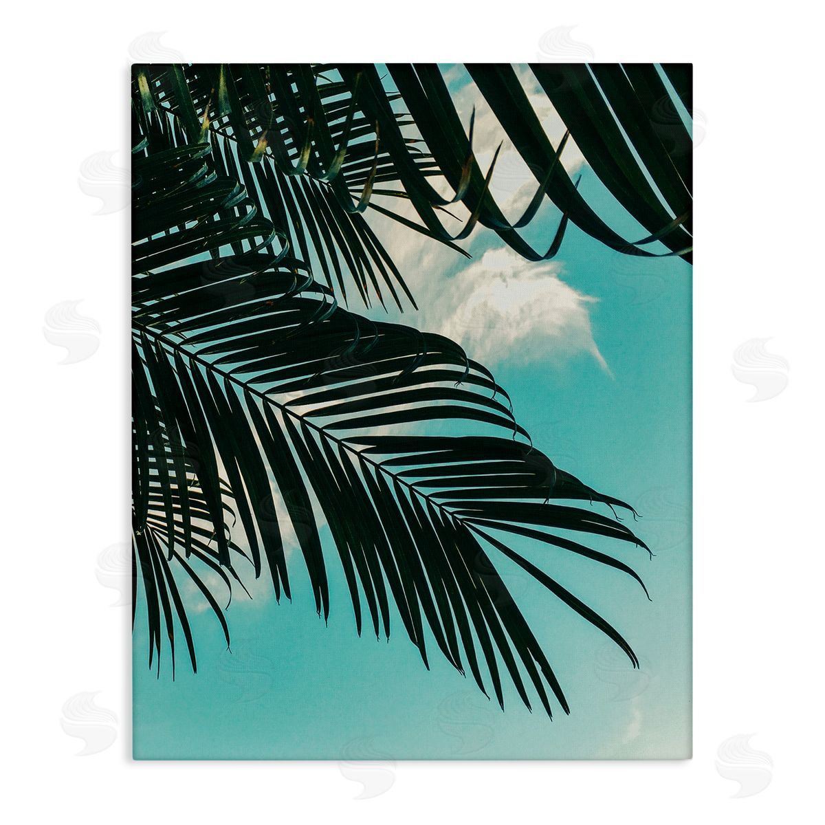 Amy Brinkman Bright Tropical Palm Tree Leaves Against Blue Sky Stretched Canvas Wall Art Print