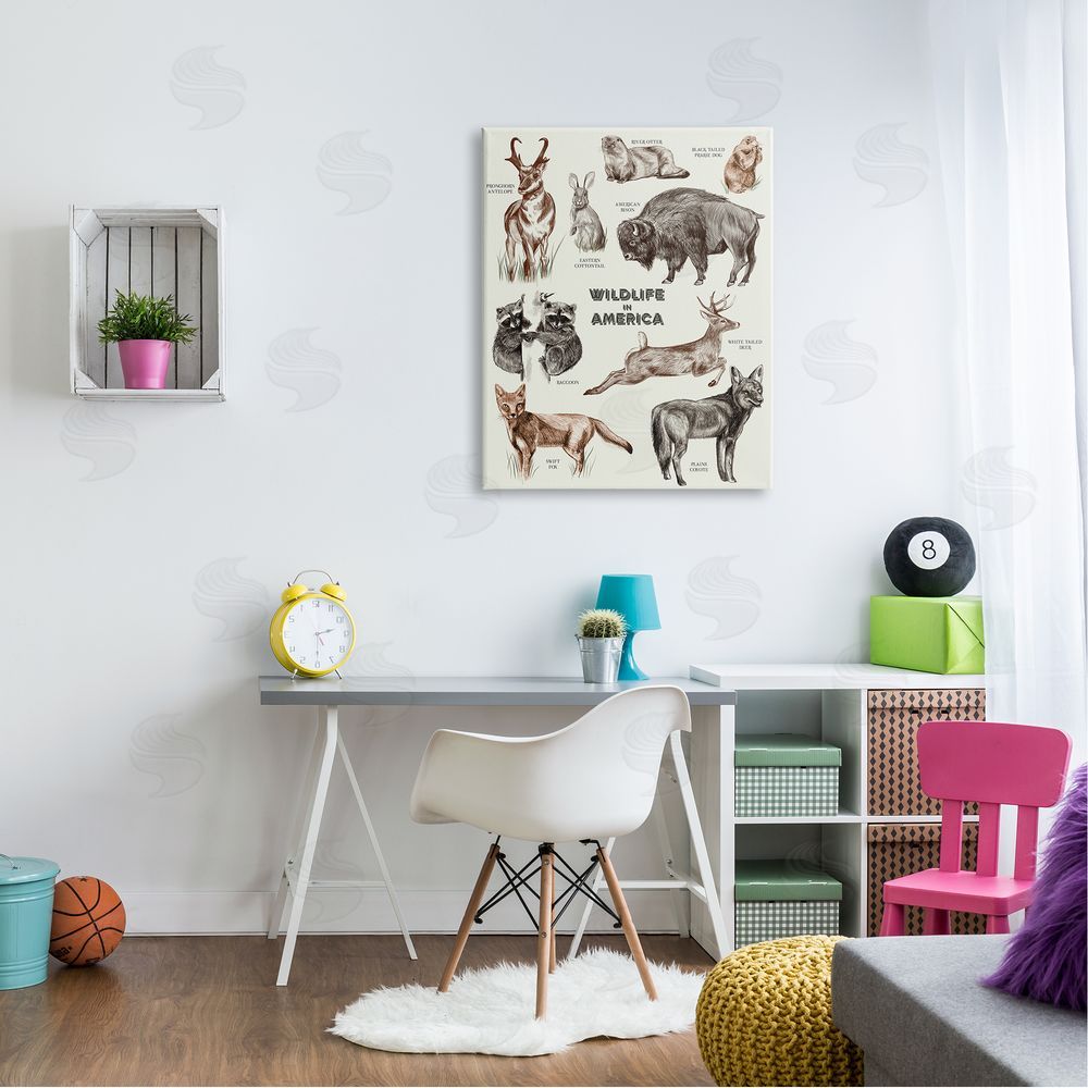 Stupell Studio Wildlife In America  Animals Detailed Illustrations Chart Canvas Wall Art Print in Room