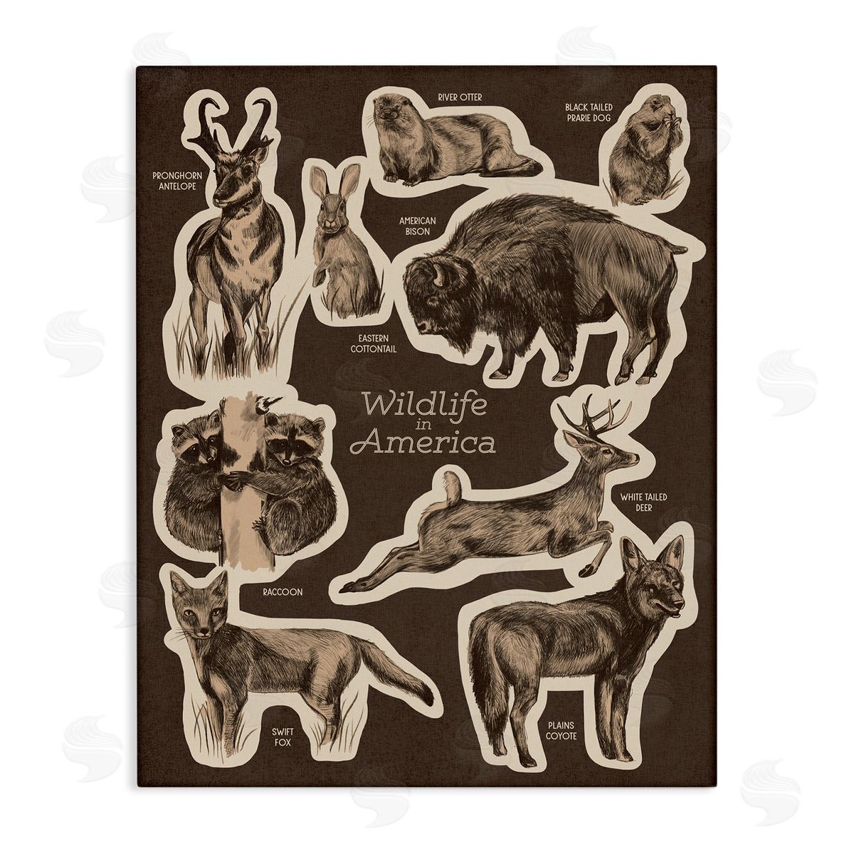 Stupell Studio Wildlife Of America Mixed Animals Chart Brown  Stretched Canvas Wall Art Print