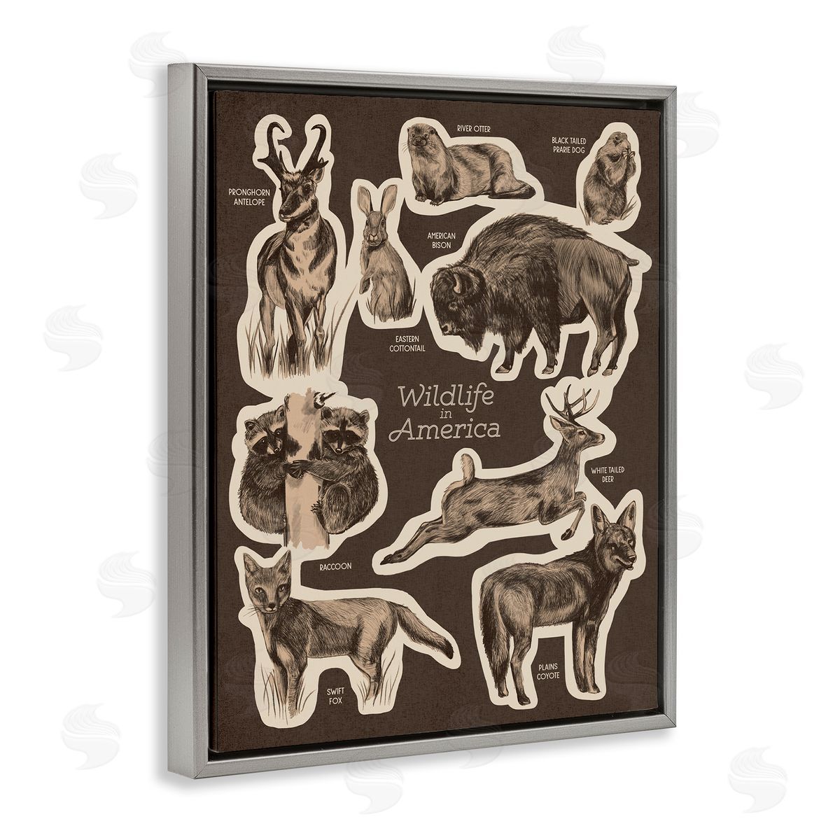 Stupell Studio Wildlife Of America Mixed Animals Chart Brown  Gray Floating Frame Canvas Wall Art Print