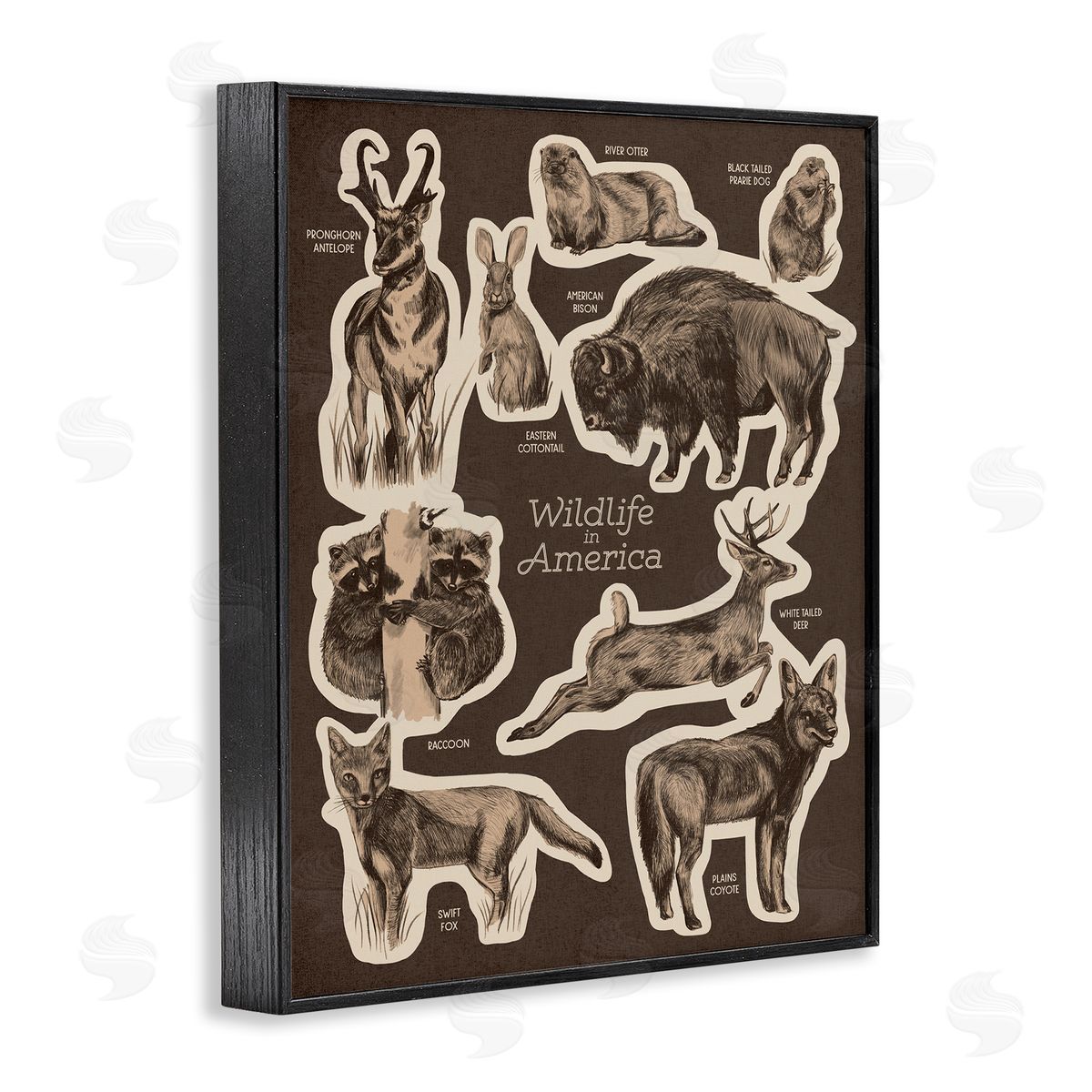 Stupell Studio Wildlife Of America Mixed Animals Chart Brown  Black Framed Giclee Wall Art Print