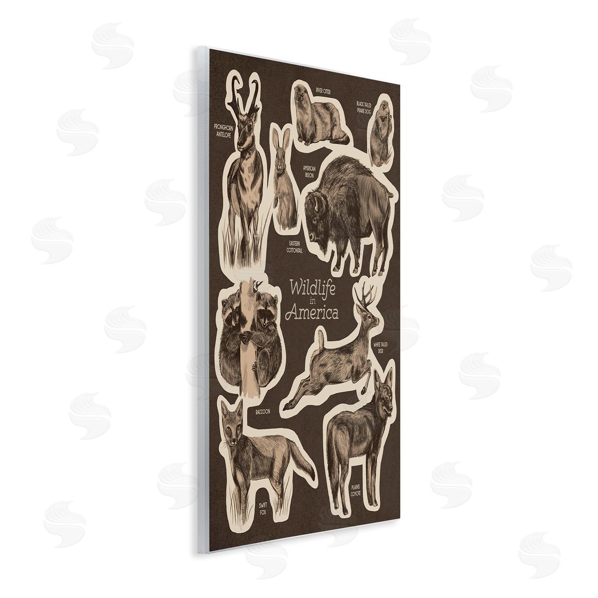 Stupell Studio Wildlife Of America Mixed Animals Chart Brown  Wall Plaque Art Print