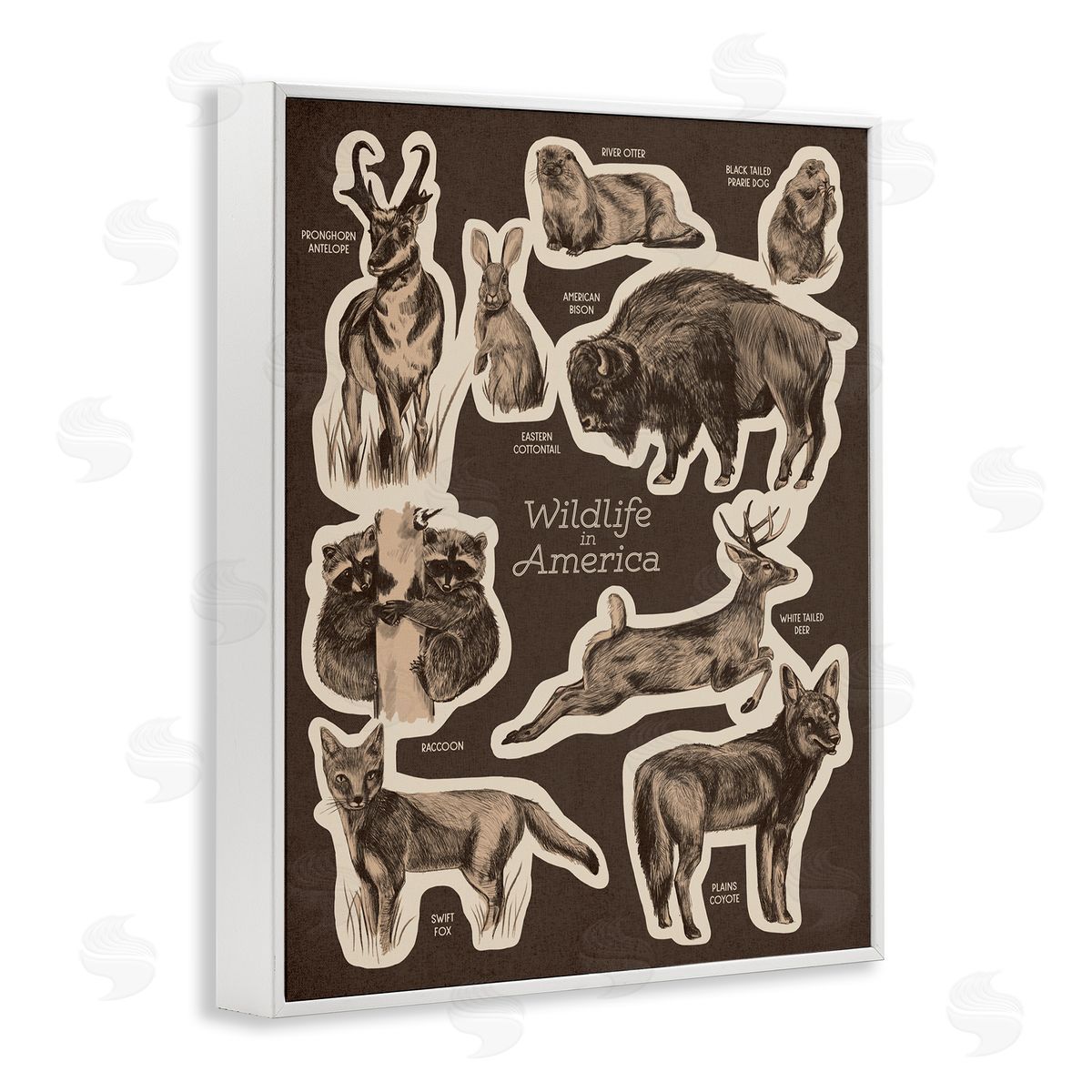 Stupell Studio Wildlife Of America Mixed Animals Chart Brown  White Framed Giclee Wall Art Print