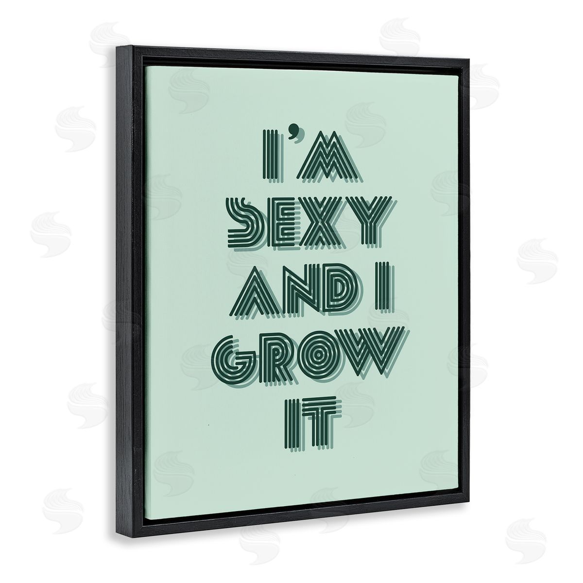 Stupell Studio I'm Sexy And I Grow It Gardening Plant Humor  Black Floating Frame Canvas Wall Art Print