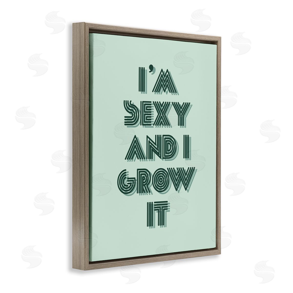 Stupell Studio I'm Sexy And I Grow It Gardening Plant Humor  Brown Floating Frame Canvas Wall Art Print