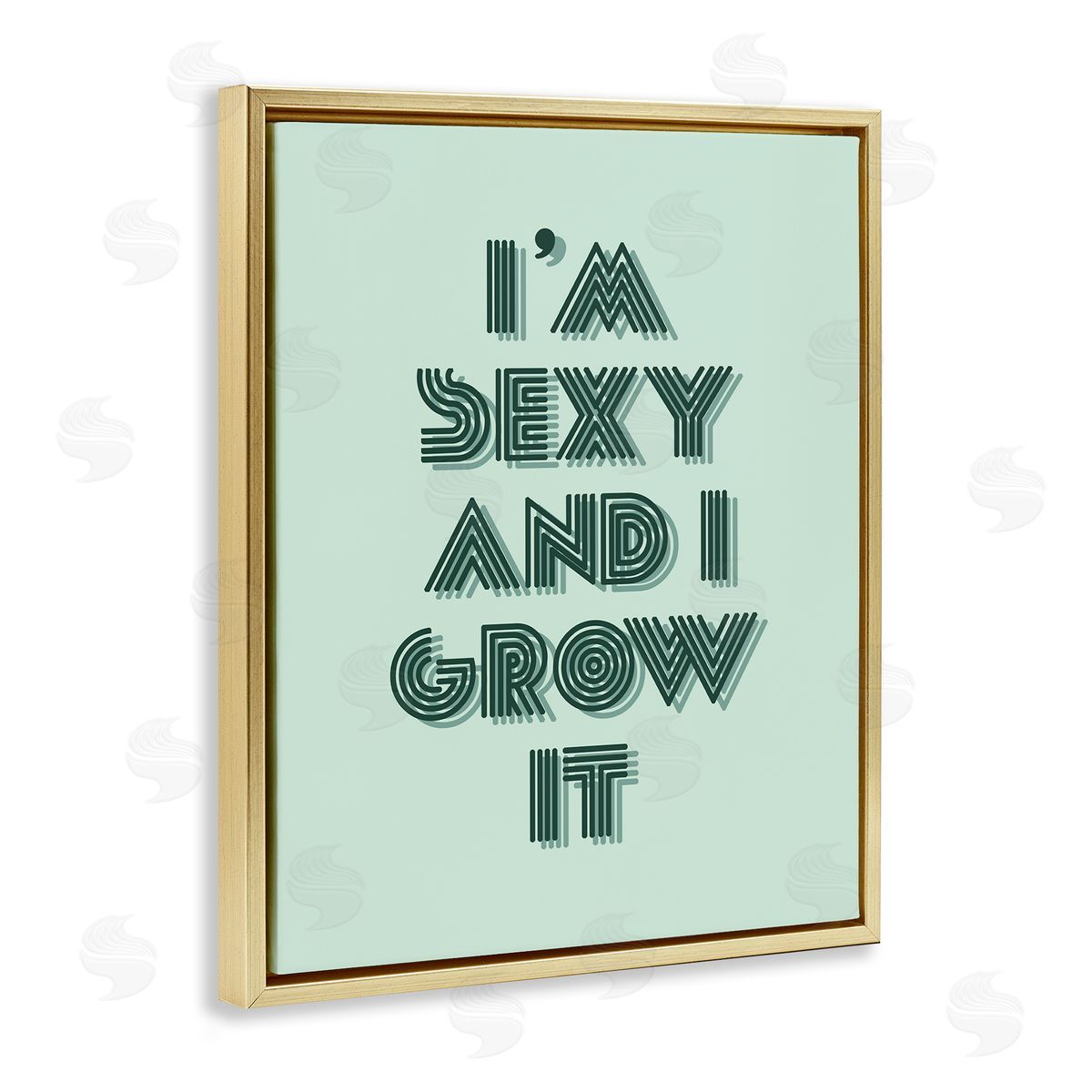 Stupell Studio I'm Sexy And I Grow It Gardening Plant Humor  Gold Floating Frame Canvas Wall Art Print