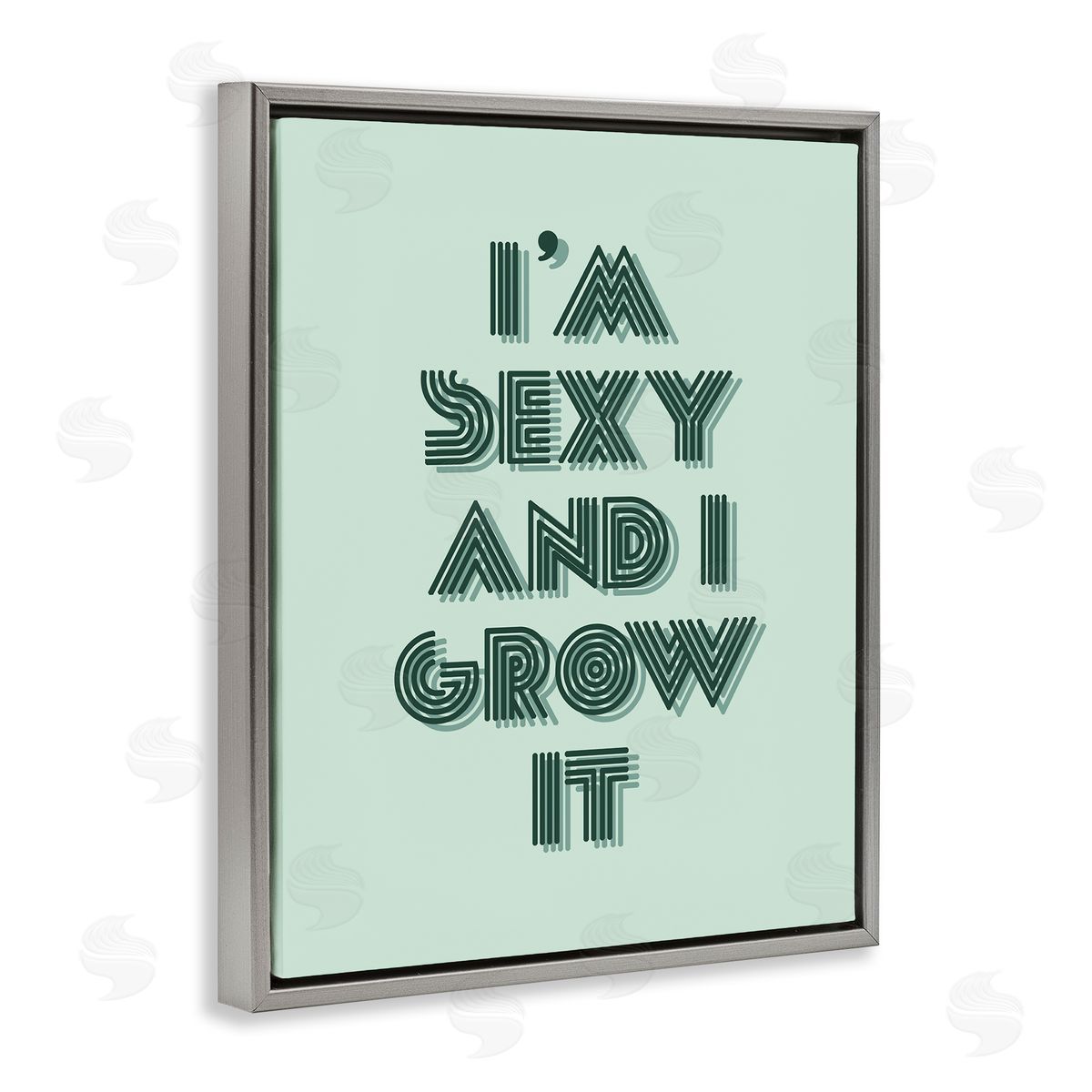 Stupell Studio I'm Sexy And I Grow It Gardening Plant Humor  Gray Floating Frame Canvas Wall Art Print
