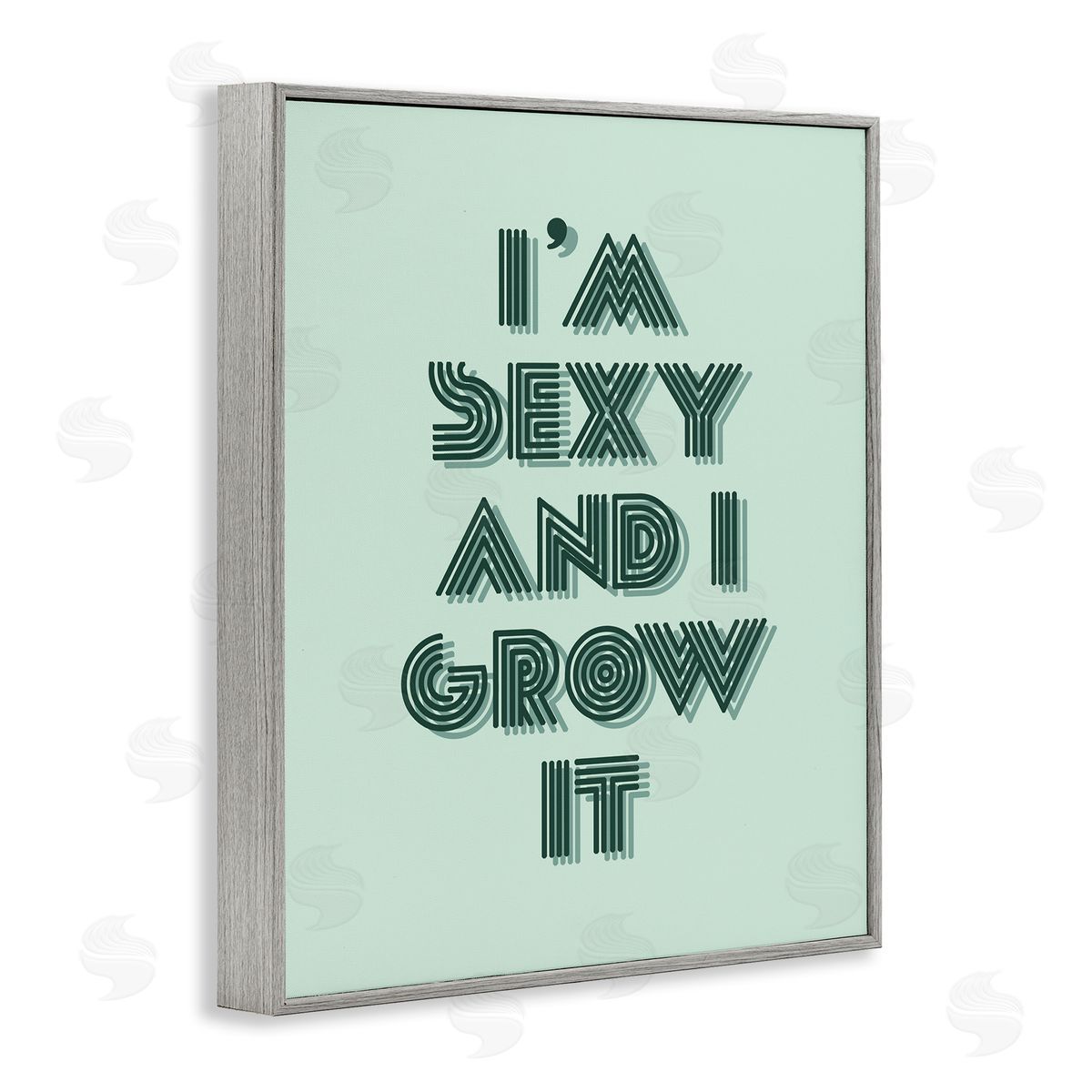 Stupell Studio I'm Sexy And I Grow It Gardening Plant Humor  Gray Framed Giclee Wall Art Print